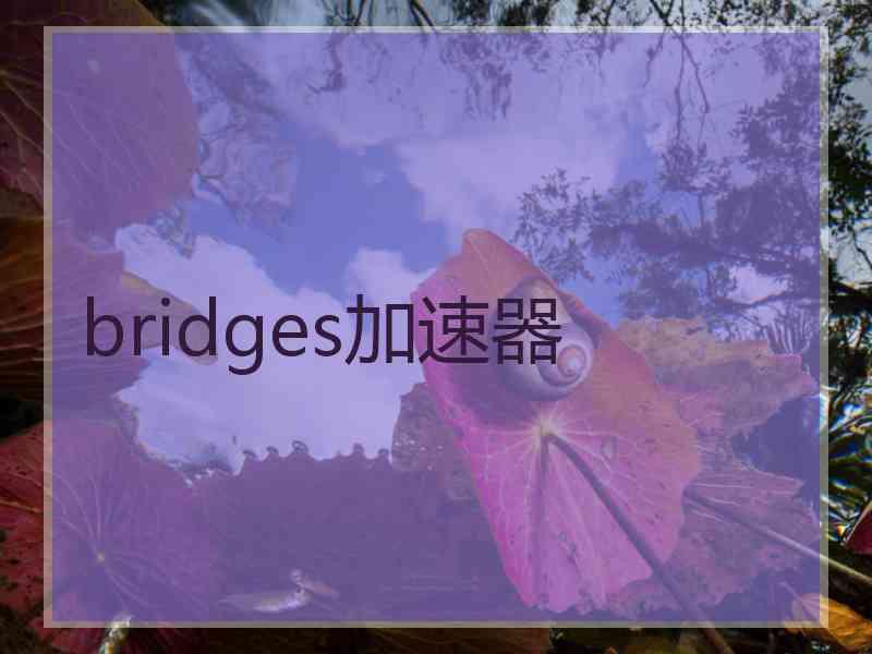 bridges加速器