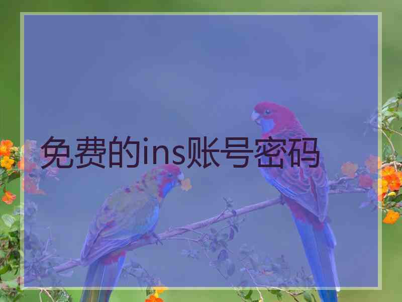 免费的ins账号密码