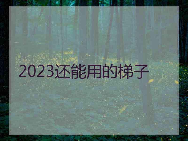 2023还能用的梯子