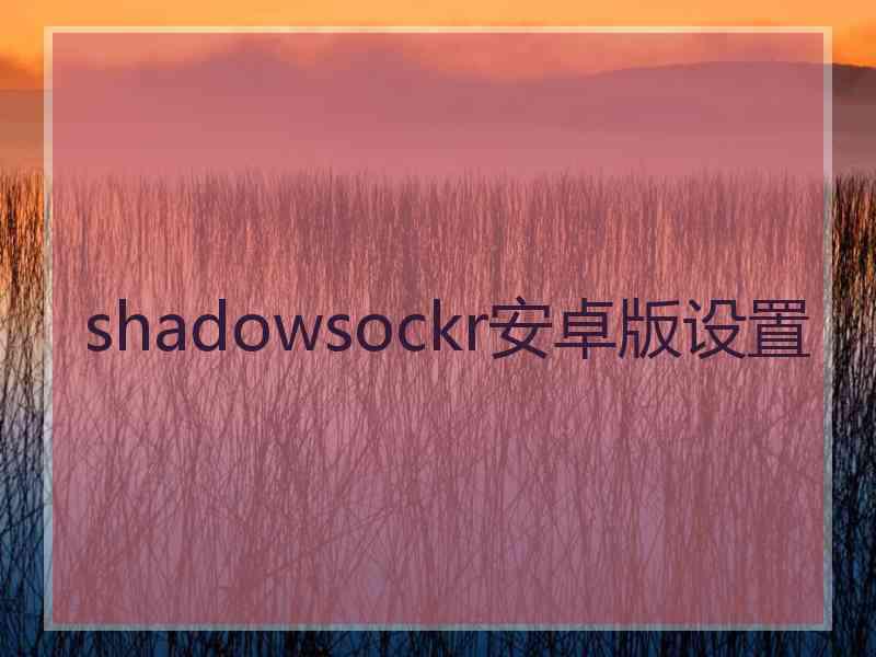 shadowsockr安卓版设置