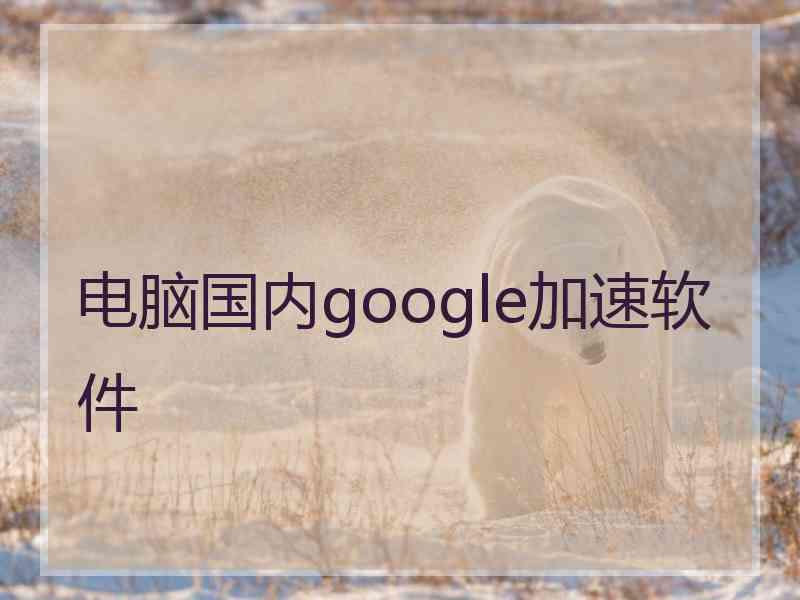 电脑国内google加速软件