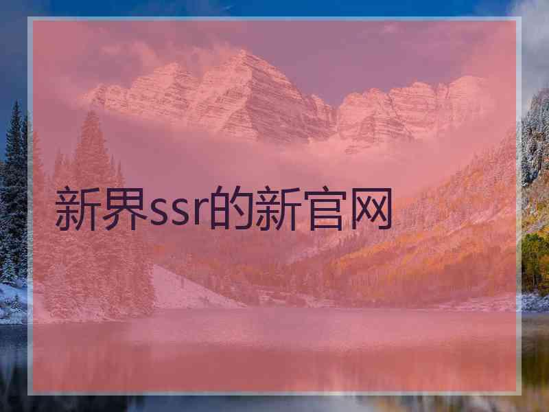 新界ssr的新官网