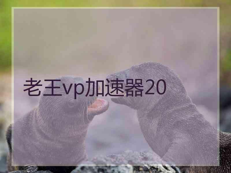 老王vp加速器20