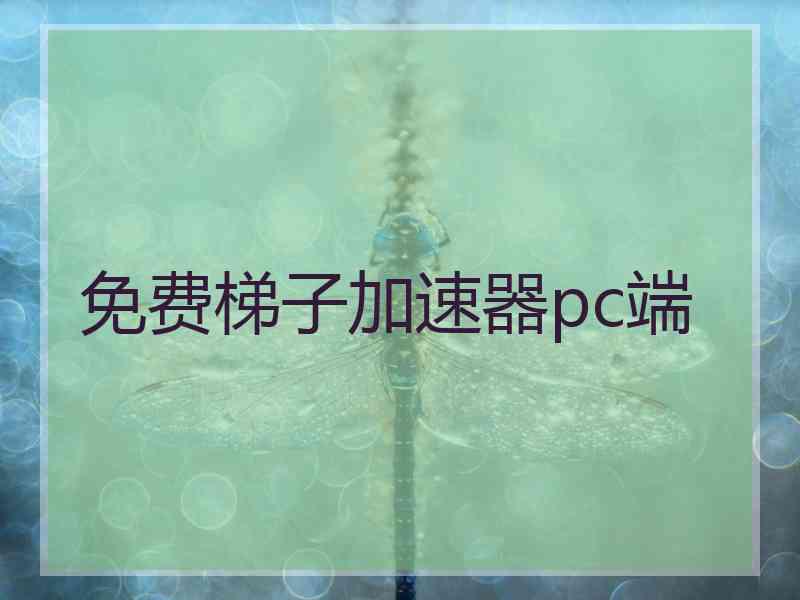 免费梯子加速器pc端