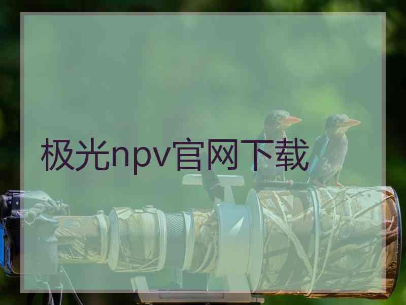 极光npv官网下载