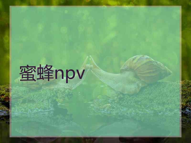 蜜蜂npv