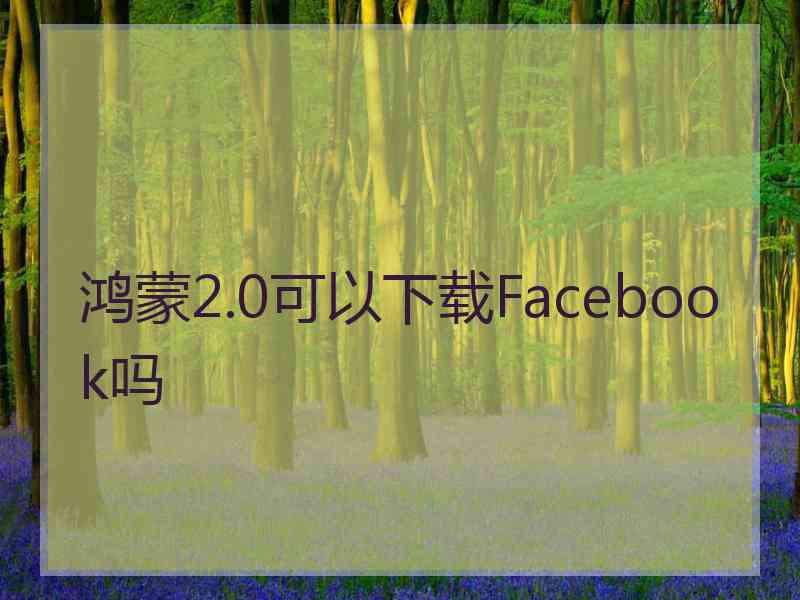 鸿蒙2.0可以下载Facebook吗