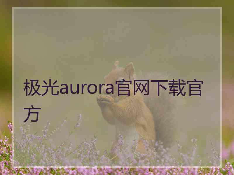 极光aurora官网下载官方