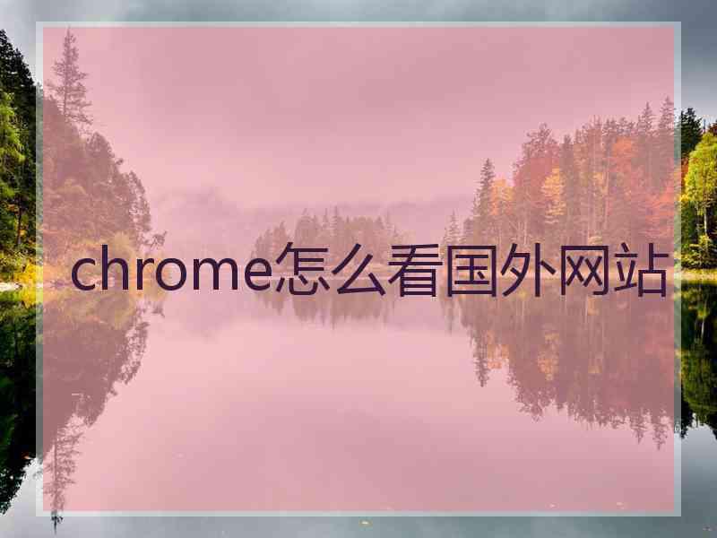 chrome怎么看国外网站