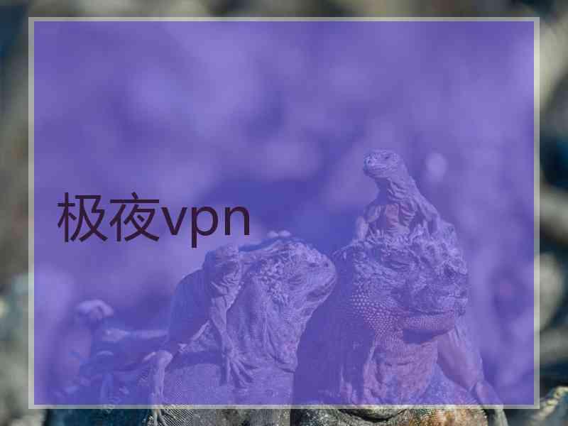 极夜vpn