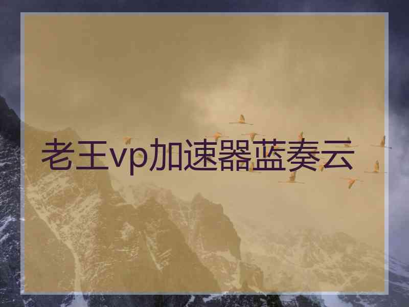 老王vp加速器蓝奏云