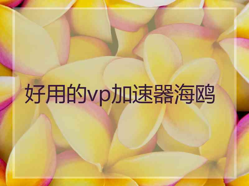 好用的vp加速器海鸥