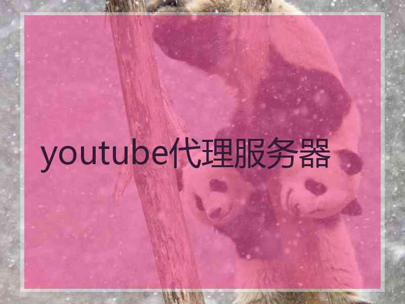 youtube代理服务器