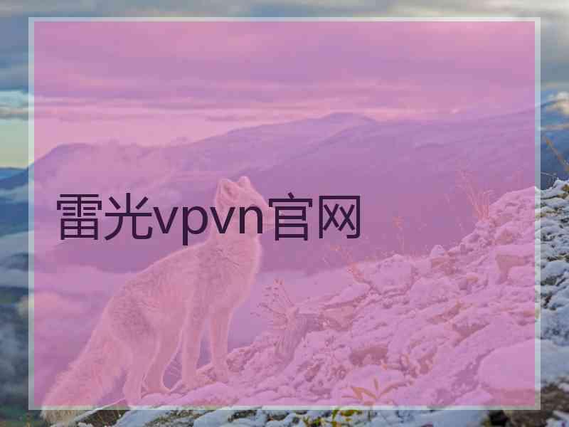 雷光vpvn官网