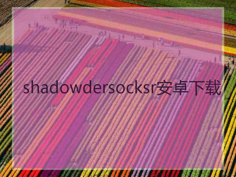 shadowdersocksr安卓下载