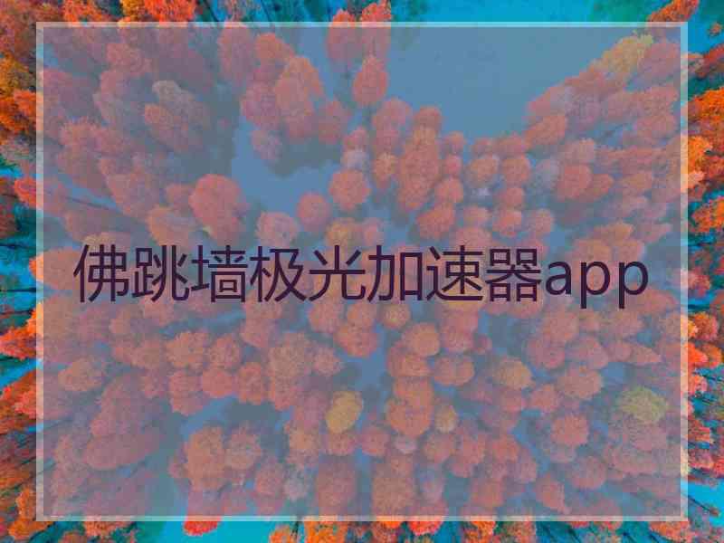 佛跳墙极光加速器app