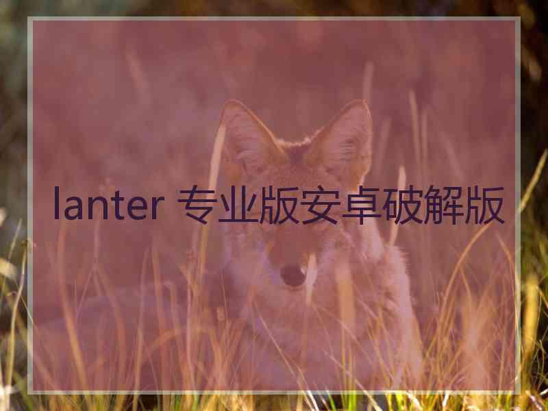 lanter 专业版安卓破解版