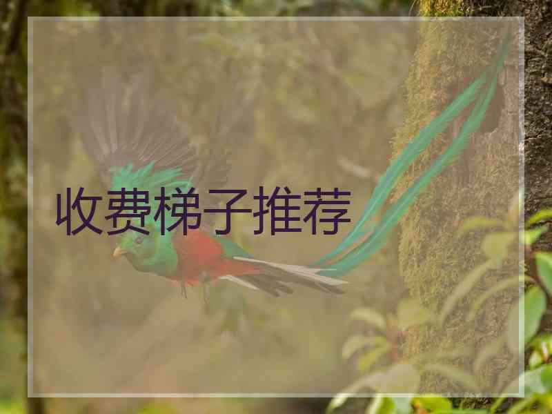 收费梯子推荐