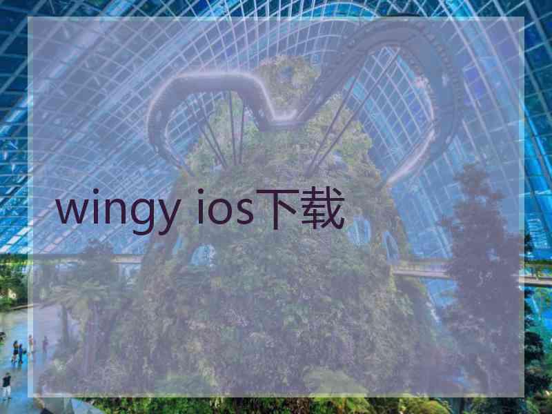 wingy ios下载