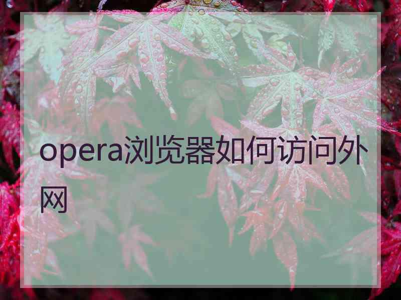 opera浏览器如何访问外网