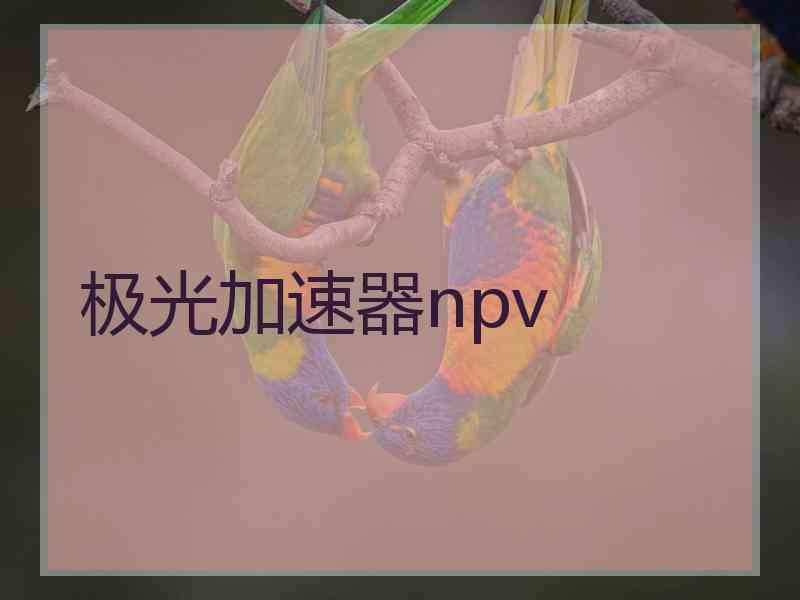 极光加速器npv