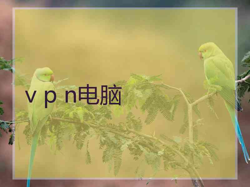 v p n电脑