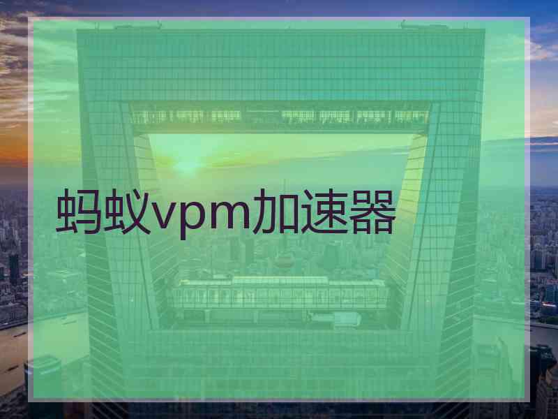 蚂蚁vpm加速器