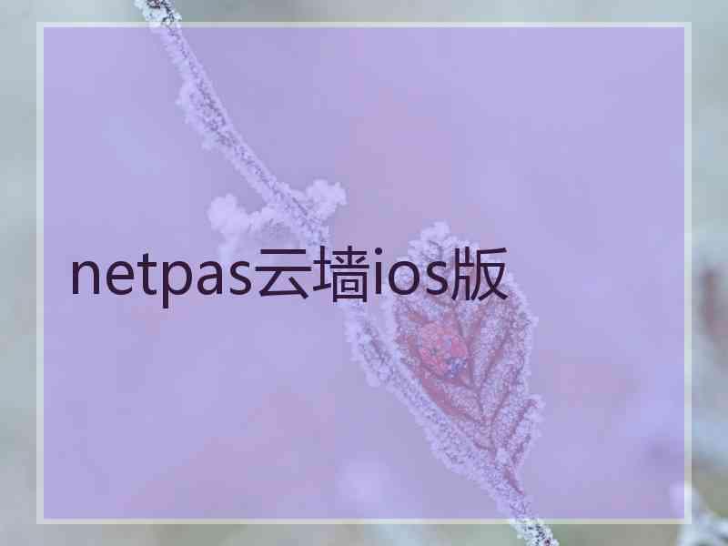 netpas云墙ios版