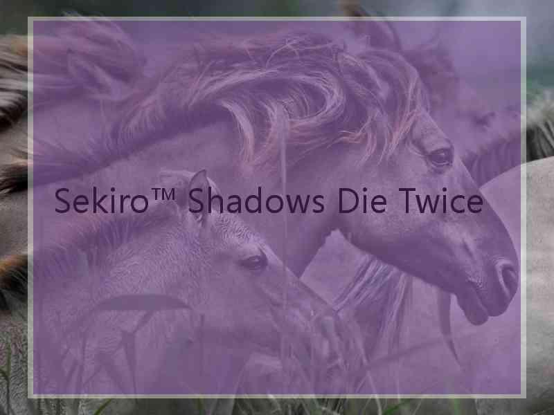 Sekiro™ Shadows Die Twice