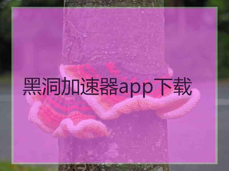 黑洞加速器app下载