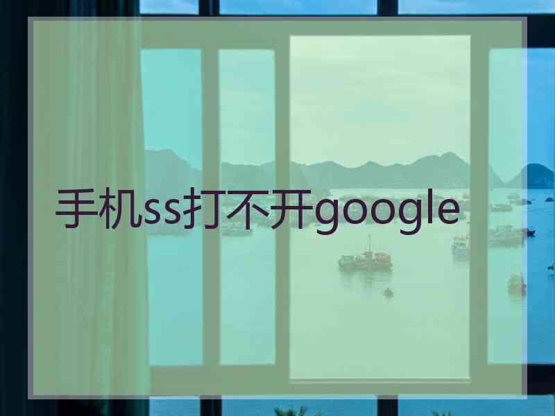 手机ss打不开google