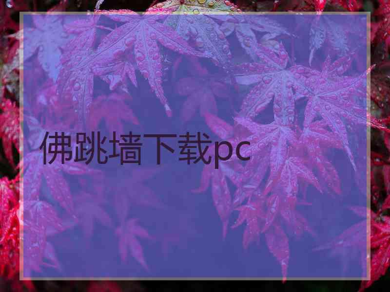 佛跳墙下载pc