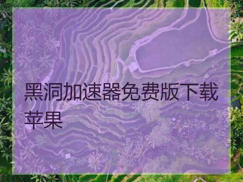 黑洞加速器免费版下载苹果