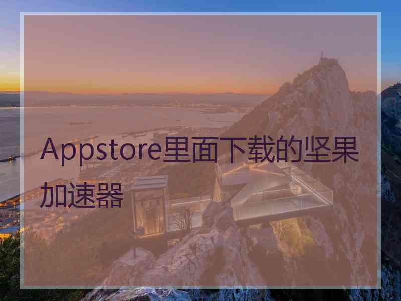 Appstore里面下载的坚果加速器