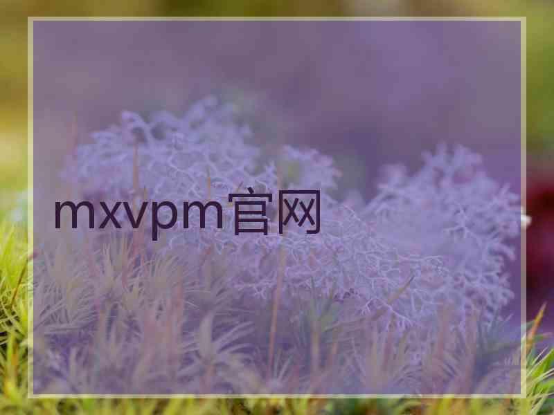 mxvpm官网