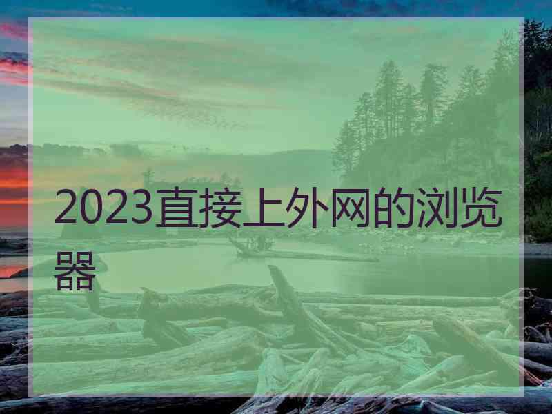 2023直接上外网的浏览器