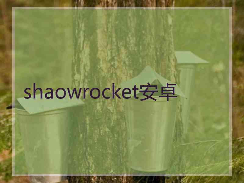 shaowrocket安卓