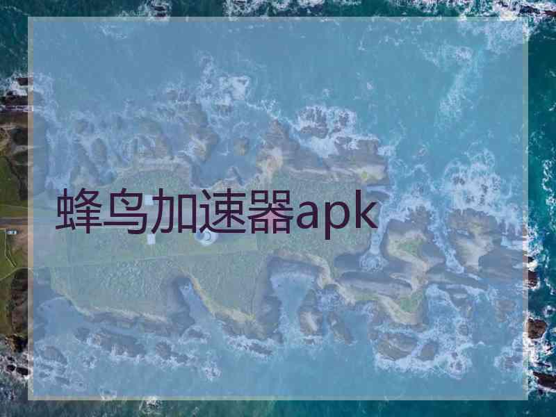 蜂鸟加速器apk