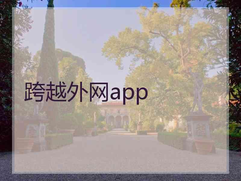 跨越外网app