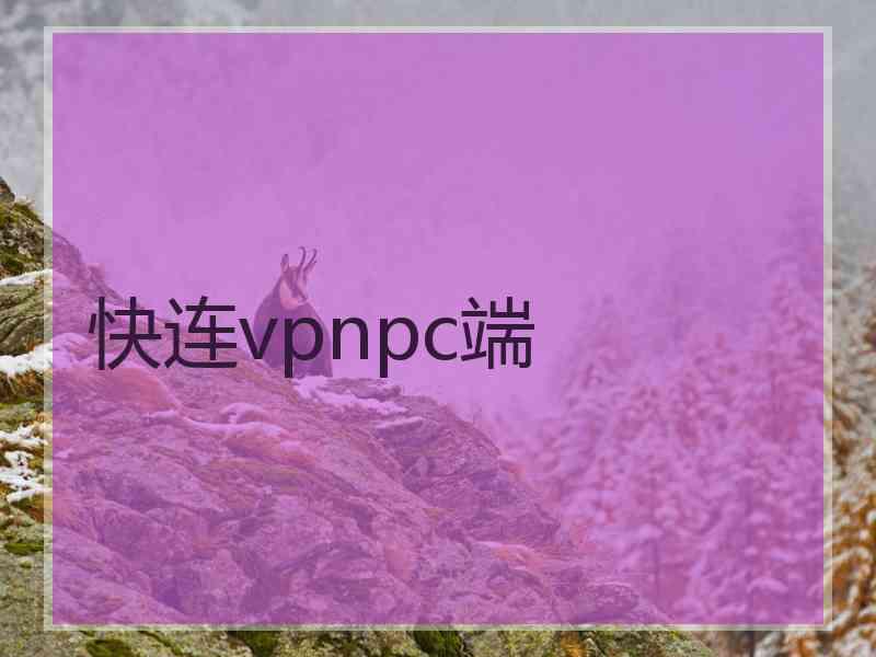 快连vpnpc端