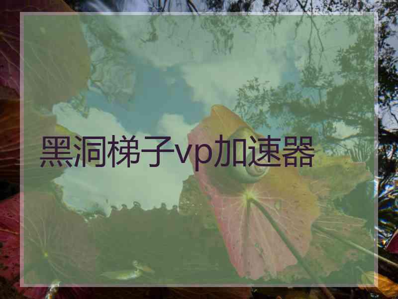 黑洞梯子vp加速器