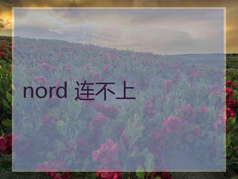 nord 连不上