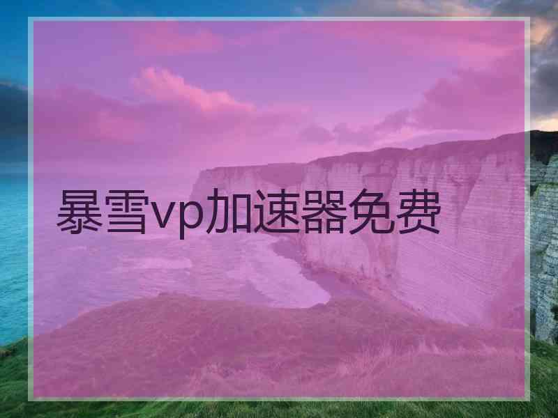 暴雪vp加速器免费