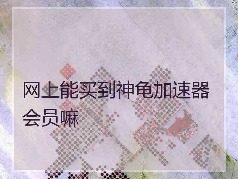 网上能买到神龟加速器会员嘛