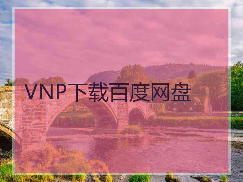 VNP下载百度网盘