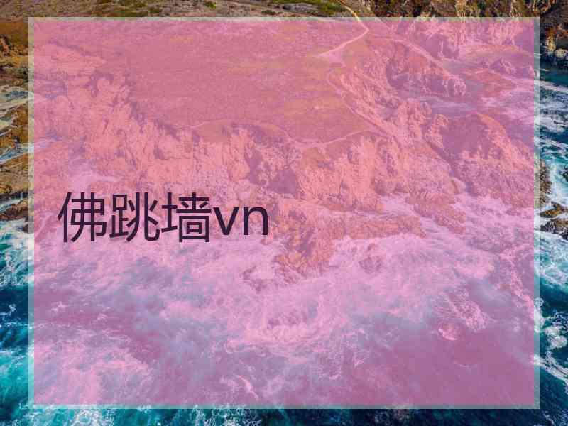 佛跳墙vn