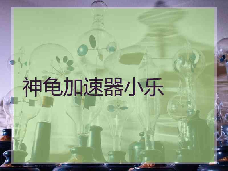 神龟加速器小乐