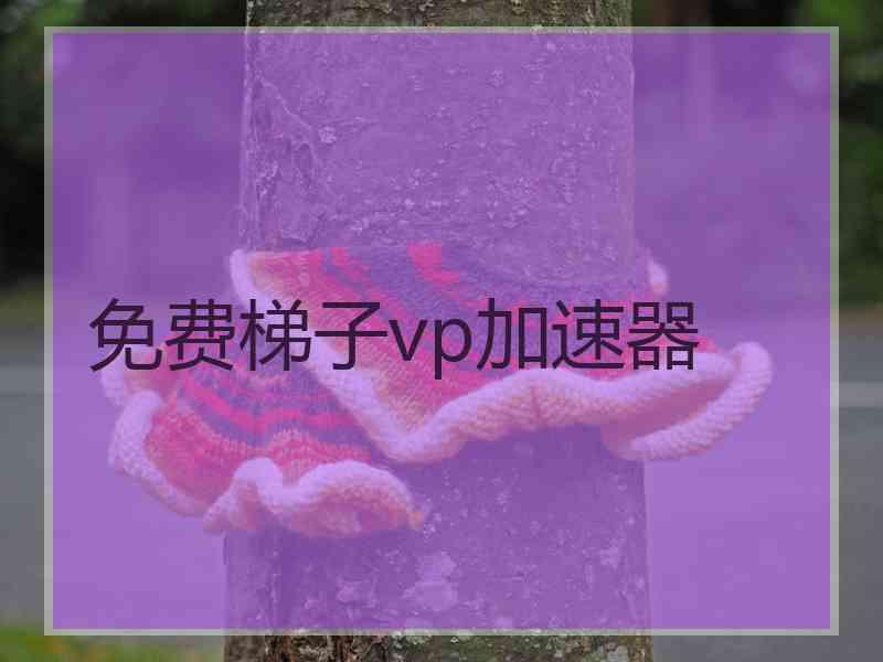 免费梯子vp加速器