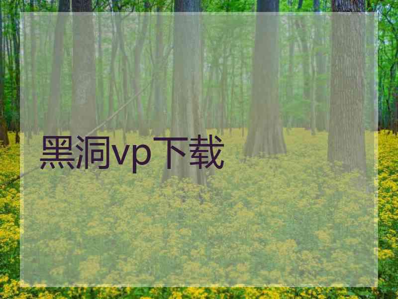 黑洞vp下载