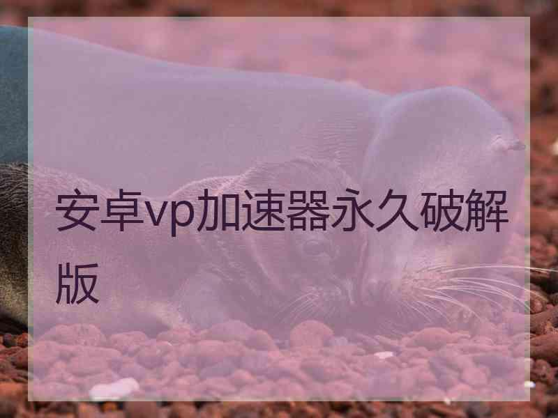 安卓vp加速器永久破解版